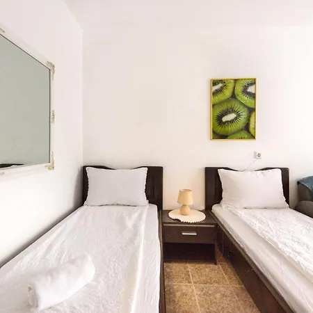 Kiwi * Veliko Tarnovo