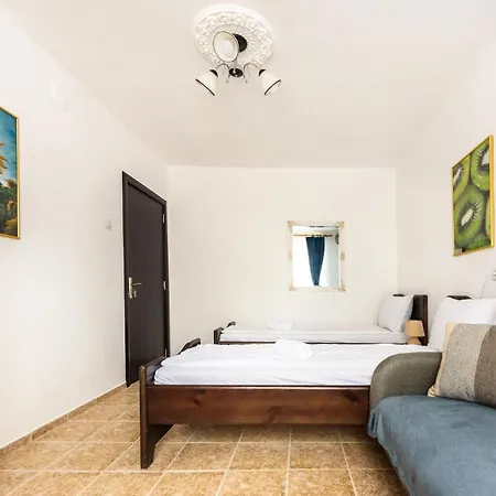 Kiwi * Veliko Tarnovo