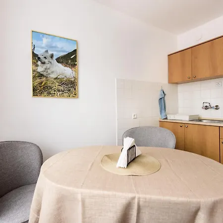 Kiwi * Veliko Tarnovo