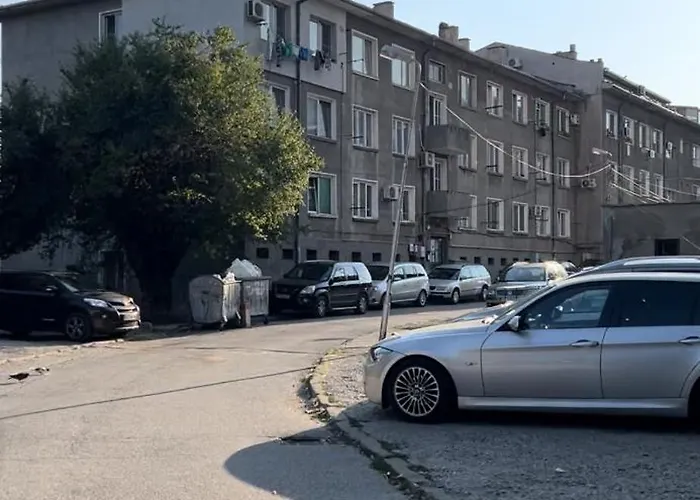 Kiwi 벨리코 터르노보