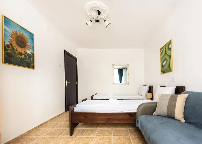 Kiwi * 벨리코 터르노보