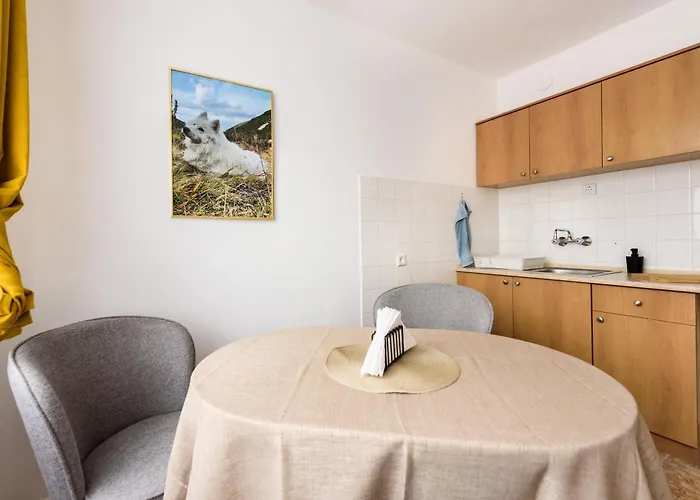 Kiwi * 벨리코 터르노보